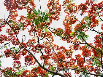 Xbox预览体验成员现可自定义XSX和XSS手柄分享按钮