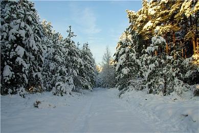 《四海兄弟：故乡》有望在TGA上亮相公布更多细节