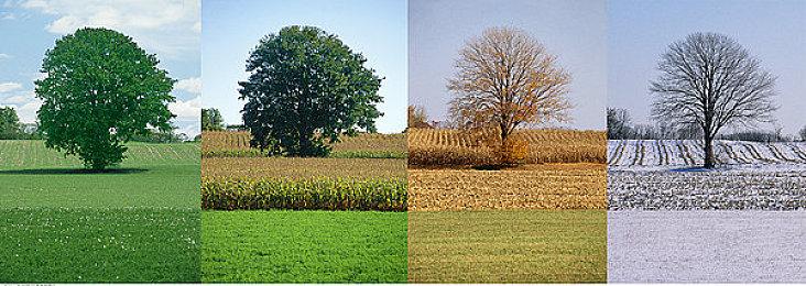 距离《空洞骑士：丝之歌》公布已经过去五年了